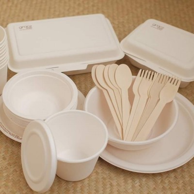 Hộp bằng bã mía