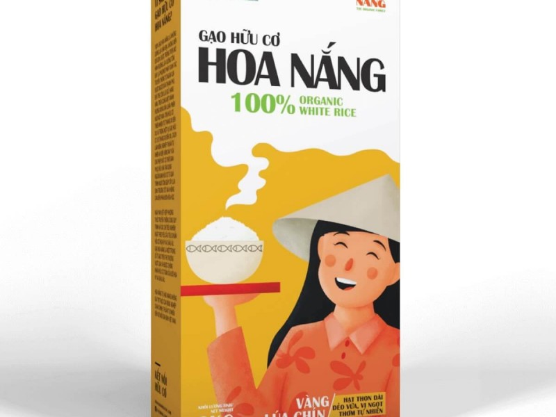 GAO HƯU CƠ HOA NẮNG